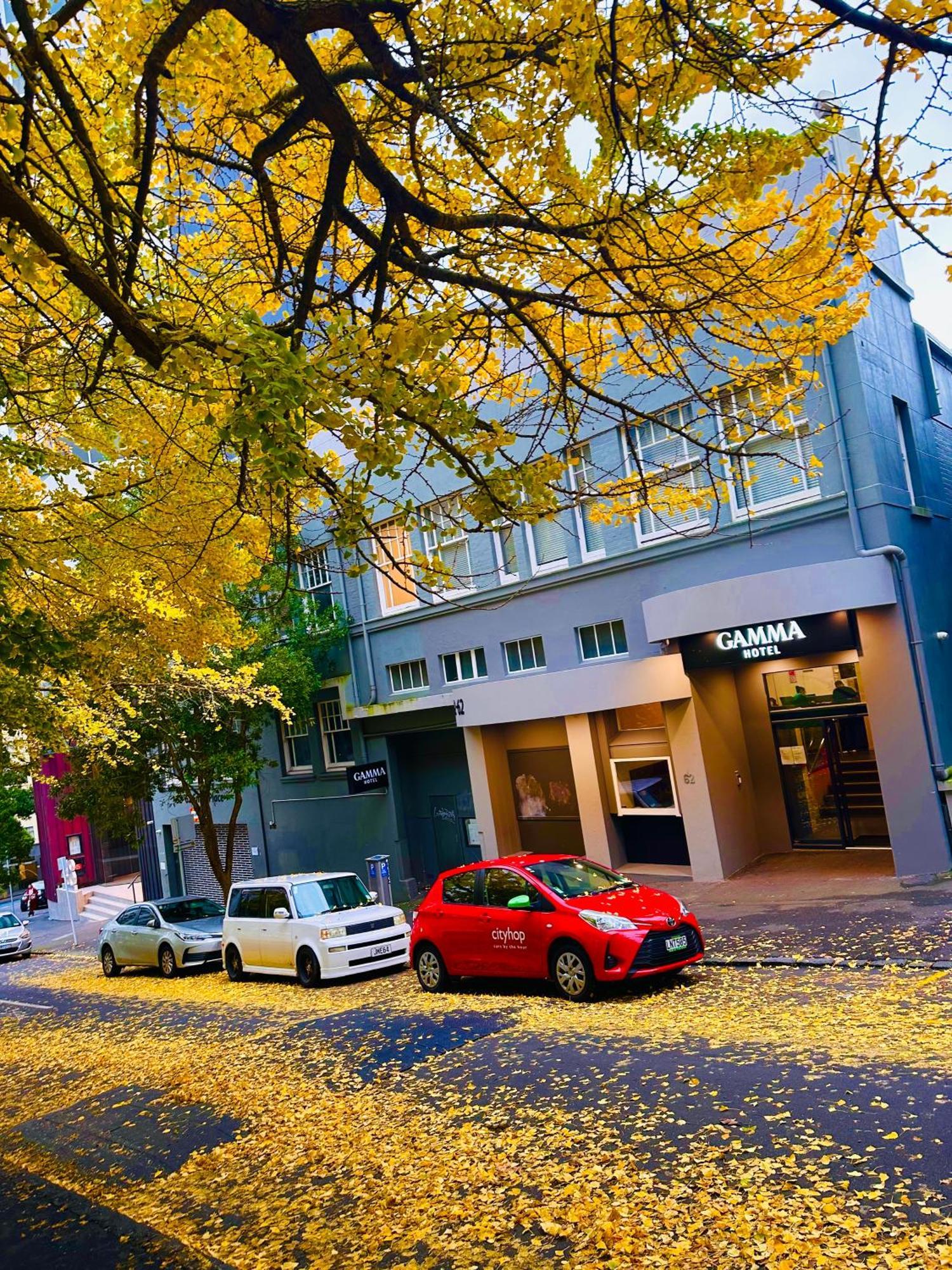 Gamma Hotel 오클랜드 외부 사진